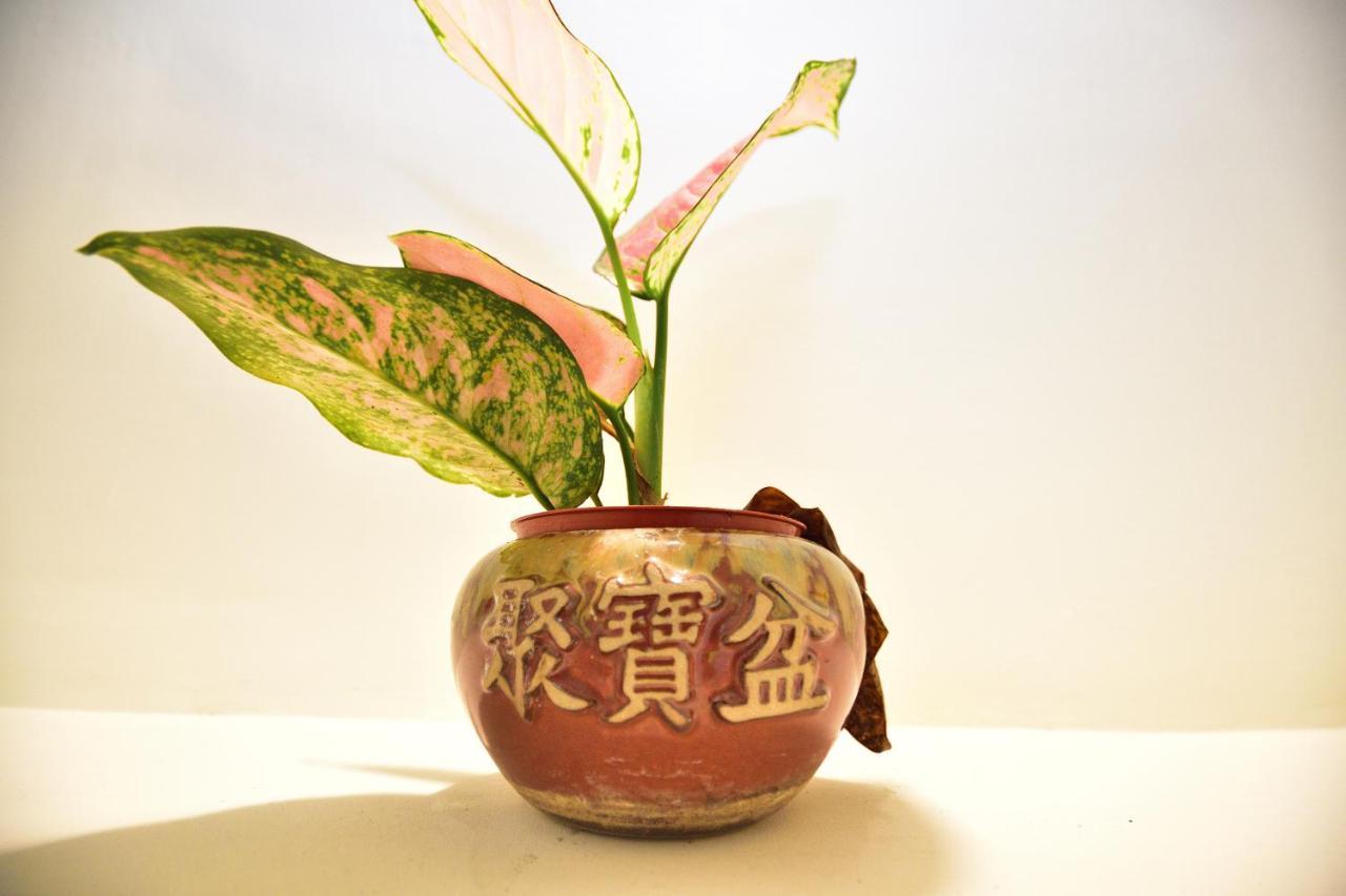 Fengru B&B Taitung 외부 사진